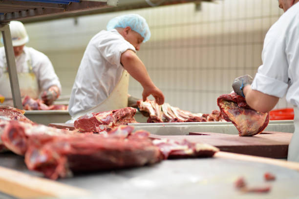 Exploiter les restes de viande pour produire une VSM de qualité